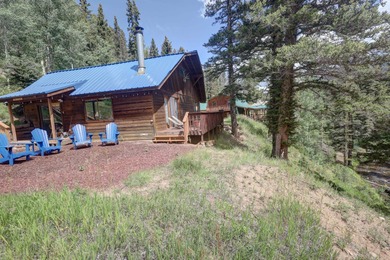 (private lake, pond, creek) Home For Sale in Red River New Mexico