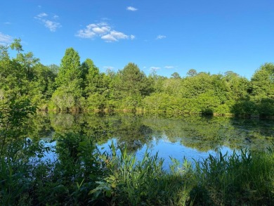 (private lake, pond, creek) Commercial For Sale in Aiken South Carolina