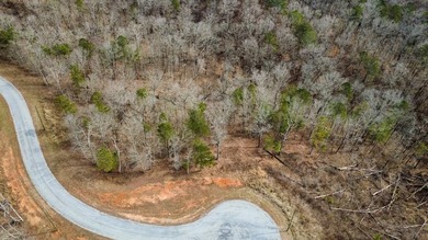 Twin Mountain Lakes Acreage For Sale in Talking Rock Georgia