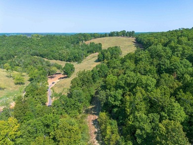 Don't miss this rare opportunity to own 79.5 +/- beautiful acres - photo 3