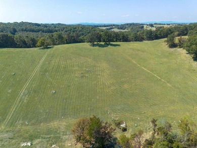Don't miss this rare opportunity to own 79.5 +/- beautiful acres - photo 4