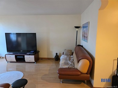 SHEEPSHEAD BAY Modern 1 bedroom, 1 bath in the Sea Isle. Open - photo 4