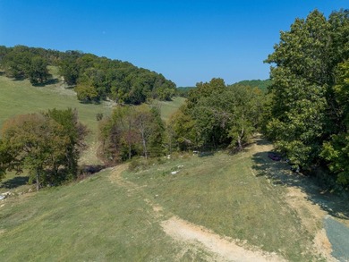 Don't miss this rare opportunity to own 79.5 +/- beautiful acres - photo 5