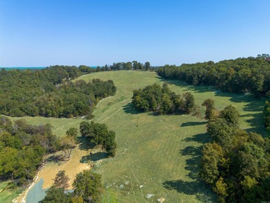 Don't miss this rare opportunity to own 79.5 +/- beautiful acres - photo 8