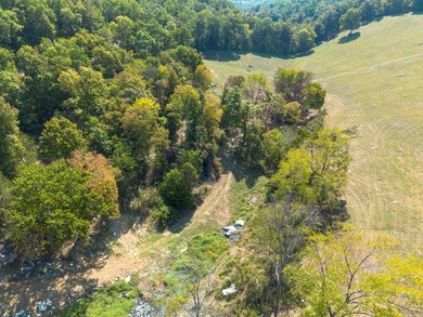 Don't miss this rare opportunity to own 79.5 +/- beautiful acres - photo 10