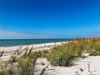 This truly unique gulf beach ridge parcel is zoned for single - photo 1