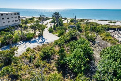 This truly unique gulf beach ridge parcel is zoned for single - photo 7