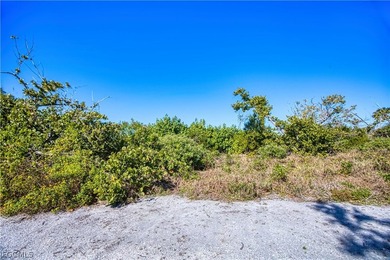This truly unique gulf beach ridge parcel is zoned for single - photo 9
