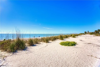 This truly unique gulf beach ridge parcel is zoned for single - photo 10