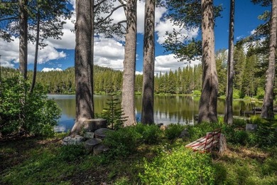 Experience the ultimate lakefront lifestyle in this exceptional - photo 26