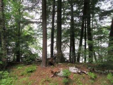 Lake Lot For Sale in , Wisconsin