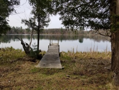 Littles Lake - Lake County Acreage For Sale in Irons Michigan