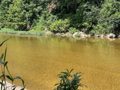 Lake Acreage For Sale in Berryville, Arkansas