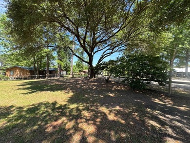 Charming 2-bedroom, 2-bath home on 1.55 unrestricted acres near - photo 10
