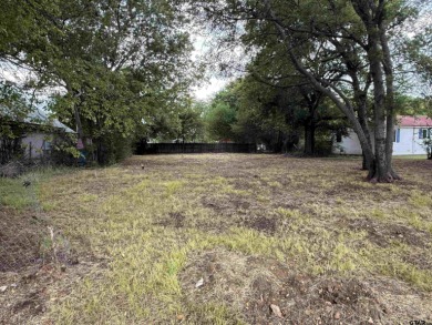 Lake Tawakoni Lot For Sale in Point Texas