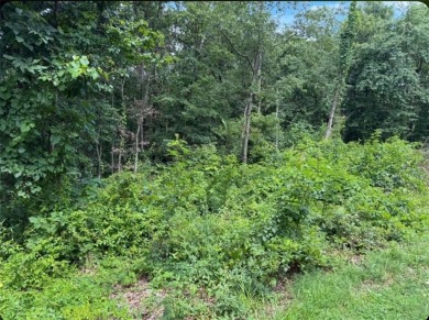 Lake Brittany Lot For Sale in Bella Vista Arkansas