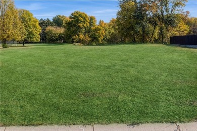 Fantastic Elk River community lot on the Mississippi River ready - photo 2
