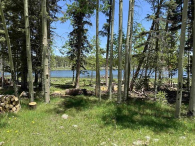 Lake Acreage For Sale in Angel Fire, New Mexico