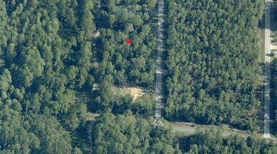 Bonable Lake Lot For Sale in Dunnellon Florida