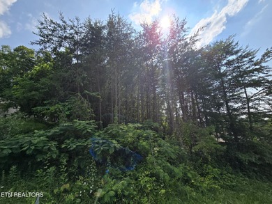 Cherokee Lake Lot For Sale in Morristown Tennessee