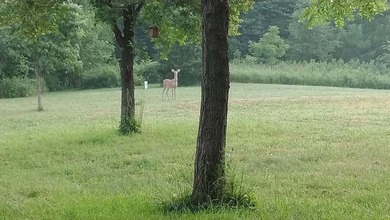Beautiful 2.2 acre building site in a quiet, gated, lake - photo 4