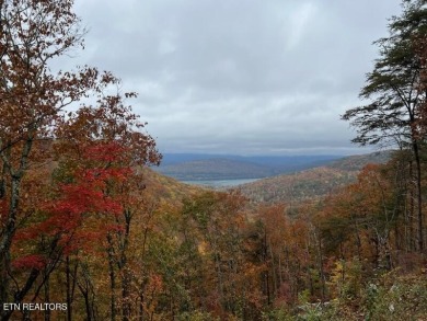 Lake Acreage For Sale in Guild, Tennessee