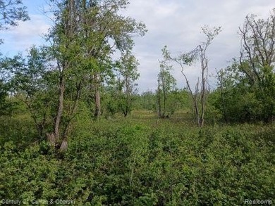 Lewis Lake - Otsego County Acreage For Sale in Chester Michigan