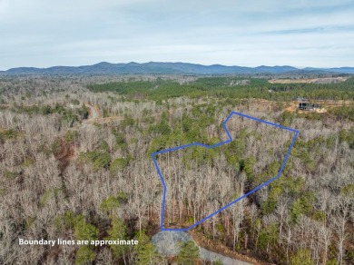 Lake Acreage For Sale in Ellijay, Georgia