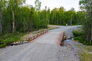 Take a look at this beautiful 7.82 +/- acre property in Baldy - photo 11
