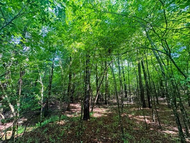80+/- acres of thick, game-rich hardwoods and pines fronting Hwy - photo 11