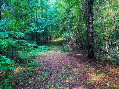 80+/- acres of thick, game-rich hardwoods and pines fronting Hwy - photo 12