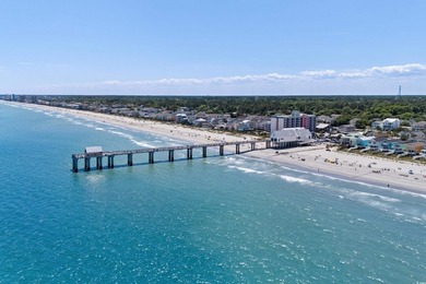 Welcome to the Georgetown model in the sought-after Belle Mer - photo 3