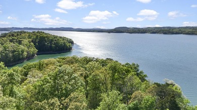 Rare opportunity to own over 11 acres of prime lakefront - photo 13