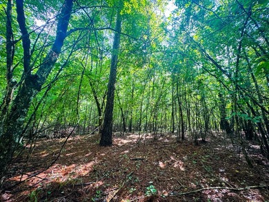 80+/- acres of thick, game-rich hardwoods and pines fronting Hwy - photo 14