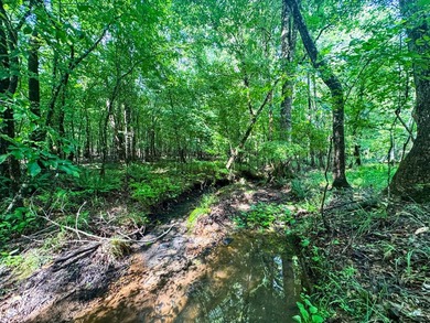 80+/- acres of thick, game-rich hardwoods and pines fronting Hwy - photo 17
