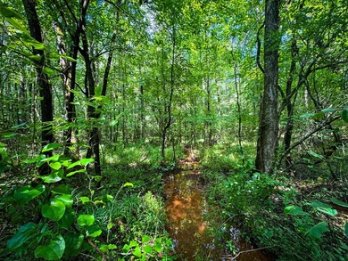 80+/- acres of thick, game-rich hardwoods and pines fronting Hwy - photo 18