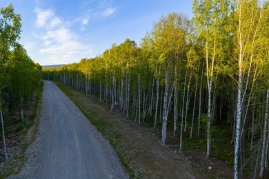 Take a look at this beautiful 7.82 +/- acre property in Baldy - photo 19