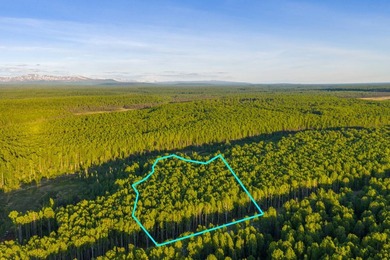 Take a look at this beautiful 7.82 +/- acre property in Baldy - photo 20