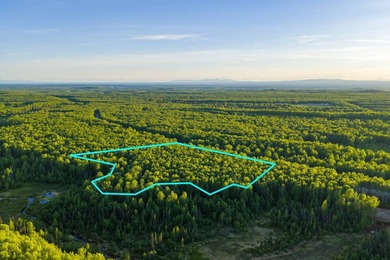 Take a look at this beautiful 7.82 +/- acre property in Baldy - photo 21