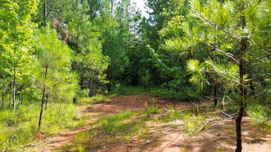80+/- acres of thick, game-rich hardwoods and pines fronting Hwy - photo 21