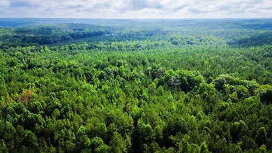 80+/- acres of thick, game-rich hardwoods and pines fronting Hwy - photo 23