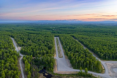 Take a look at this beautiful 7.82 +/- acre property in Baldy - photo 25