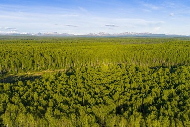 Take a look at this beautiful 7.82 +/- acre property in Baldy - photo 29