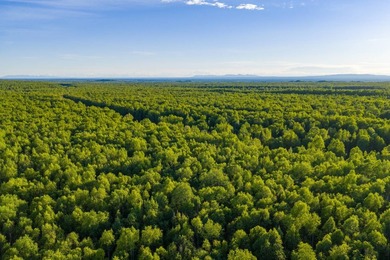 Take a look at this beautiful 7.82 +/- acre property in Baldy - photo 30