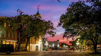 Welcome to 210 Cannon in downtown Historic Georgetown SC! The - photo 32