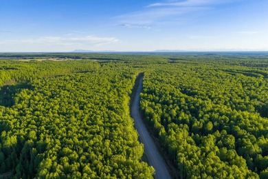 Take a look at this beautiful 7.82 +/- acre property in Baldy - photo 32