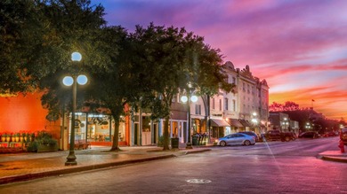 Welcome to 210 Cannon in downtown Historic Georgetown SC! The - photo 34