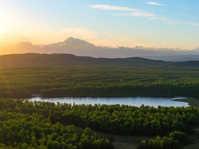 Take a look at this beautiful 7.82 +/- acre property in Baldy - photo 36