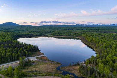 Take a look at this beautiful 7.82 +/- acre property in Baldy - photo 39