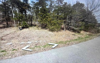 Table Rock Lake - Carroll County Lot For Sale in Holiday Island Arkansas